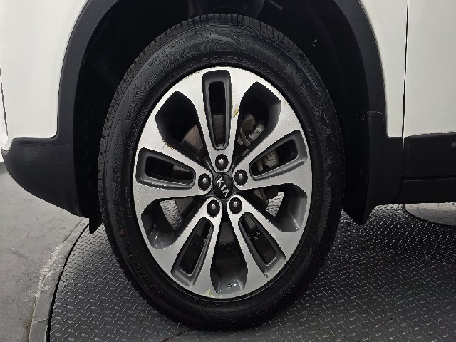 9464510a9566606352f2cc62ffa64346.jpeg