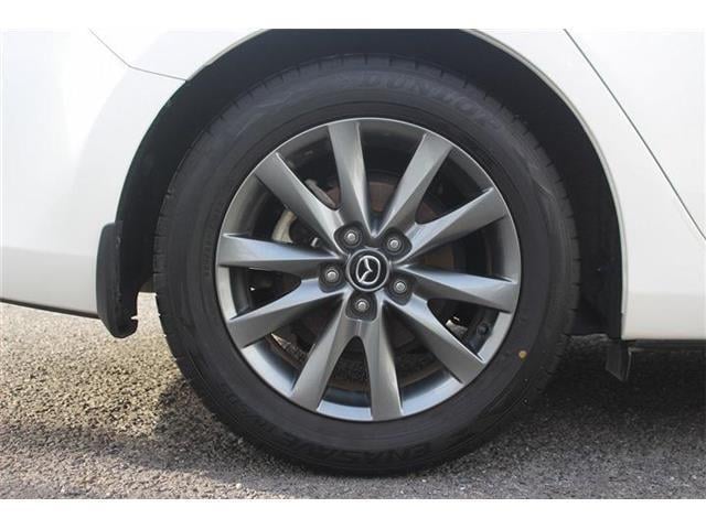 24ccc3d88db9303cae77e5bd245fa32e.jpg