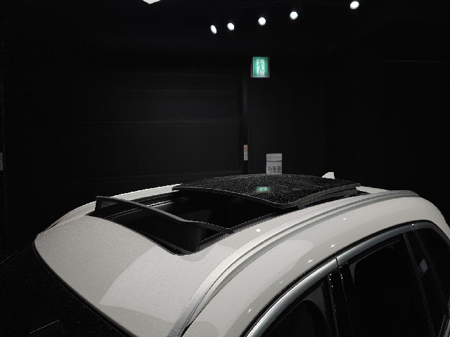a93d55ee1ff9a5e395e63508ab6ec017.jpeg