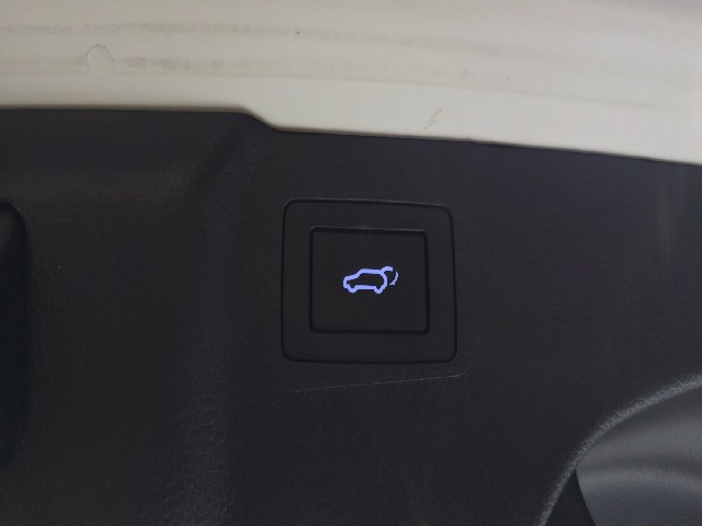 abb241329f77ed8e6c6b1eea090110f8.jpeg