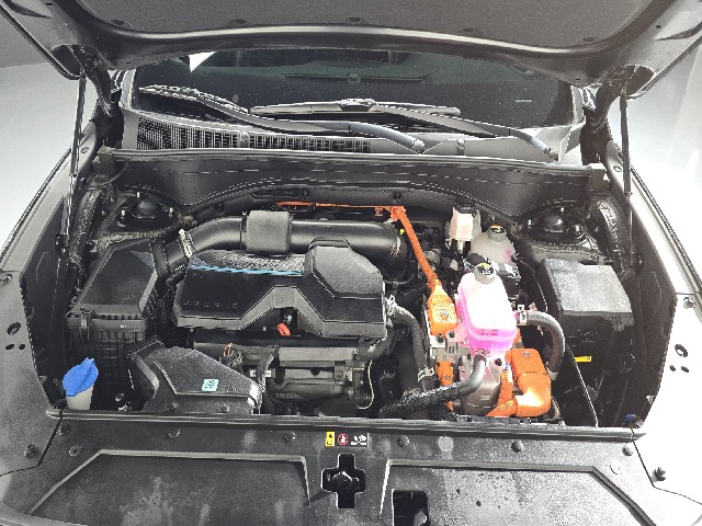 045efd407ea405f0c82956e075a9cf45.jpeg