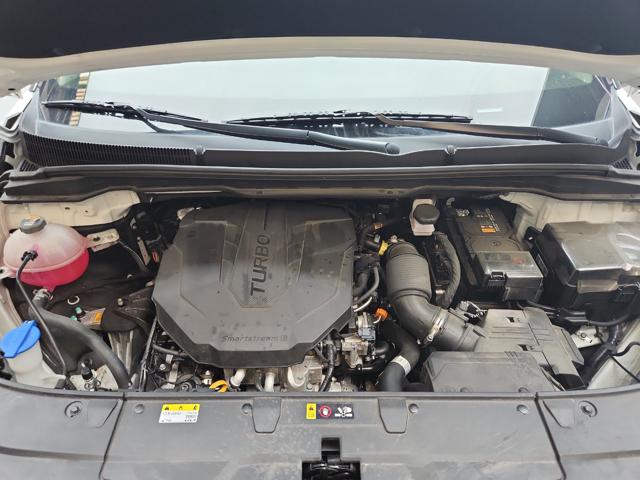 lotterental_212824137_pseF6_10.jpg