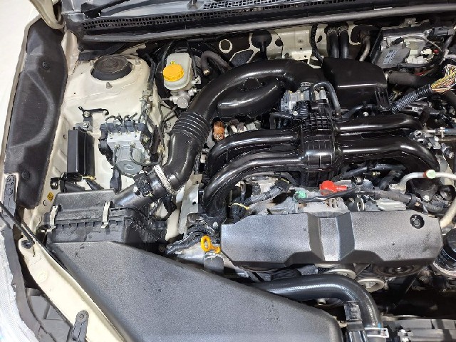 21ae125fcd12cec2038587068badcf63.jpeg