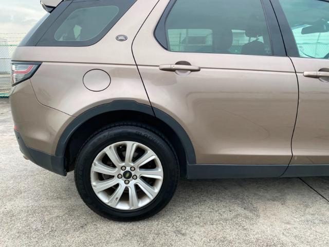 f2c359464eb8cdb32d63bd9d95066961.jpeg