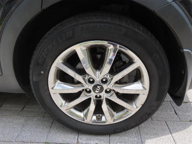26c1f678d163109af7c29dff7142d67e.jpeg