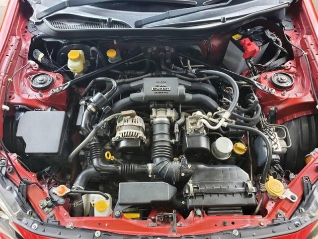 19565039_carP_l_14.jpg