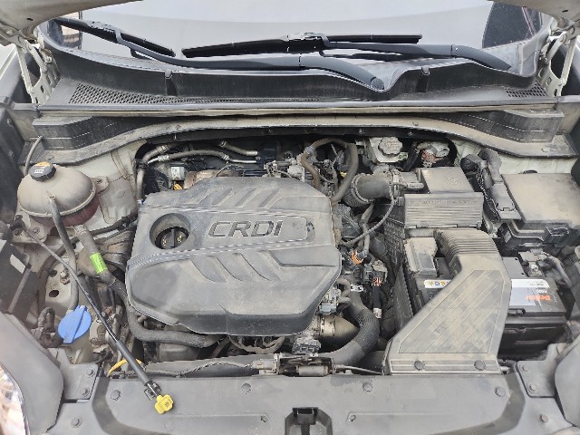 lotterental_154136101_ShemS_8.jpg
