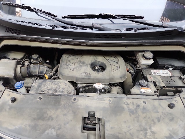 lotterental_094136313_Ckmao_6.jpg