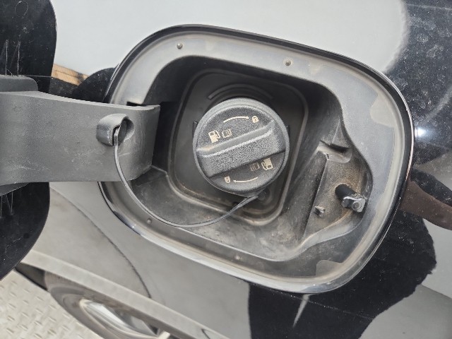 lotterental_162148539_g4oXm_7.jpg