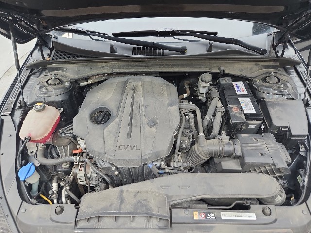 lotterental_16233142_M6Z6A_10.jpg
