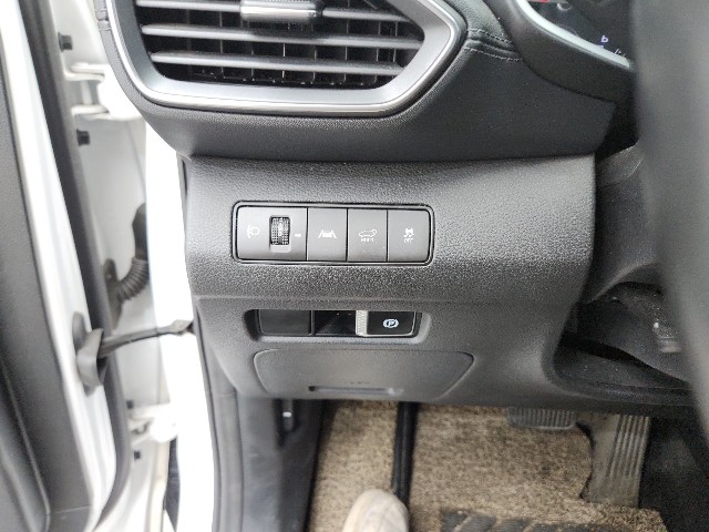 lotterental_212058413_jWkNq_6.jpg