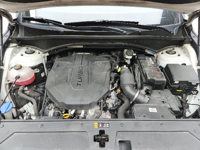 lotterental_212240520_7mrO0_1.jpg