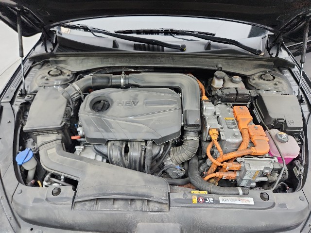 lotterental_141736621_Nm05o_2.jpg