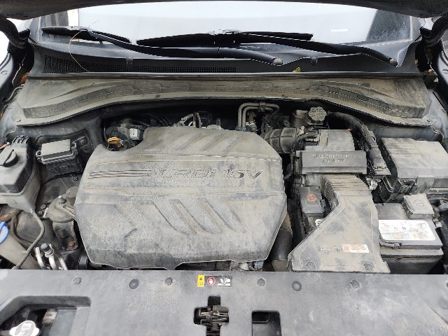 lotterental_142941454_NTrdJ_4.jpg