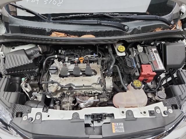 lotterental_145315112_Z805K_7.jpg