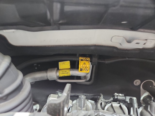lotterental_145315168_YJnHJ_8.jpg