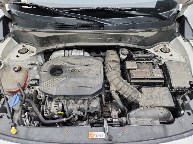 lotterental_174115350_f2Ran_10.jpg