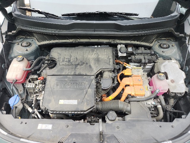 lotterental_111842107_ldGhh_1.jpg