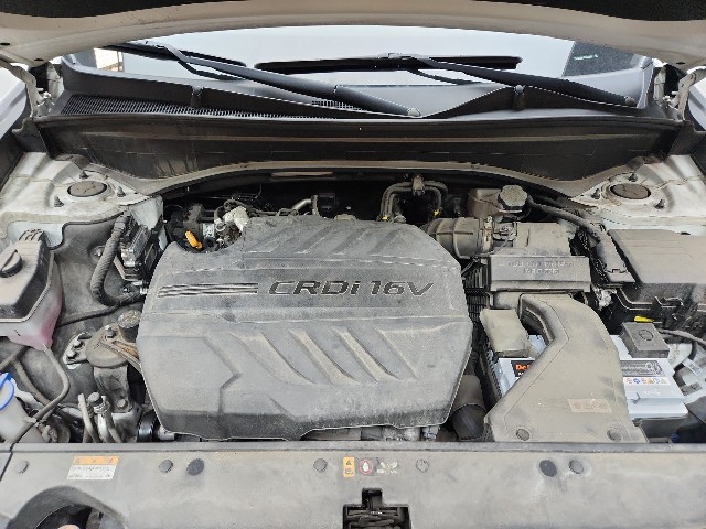 lotterental_174647179_fqeF8_10.jpg