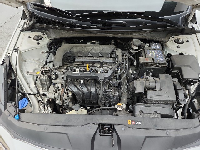 lotterental_223333863_OeArr_1.jpg