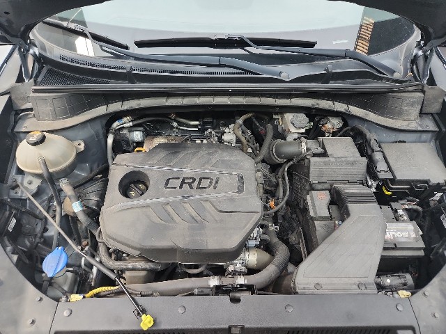 lotterental_091347489_vru8C_1.jpg