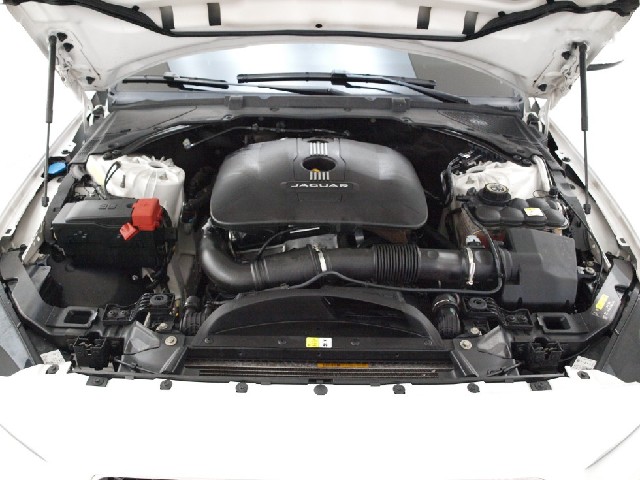 f43be95c6ad0688361525e51116acfd3.jpeg