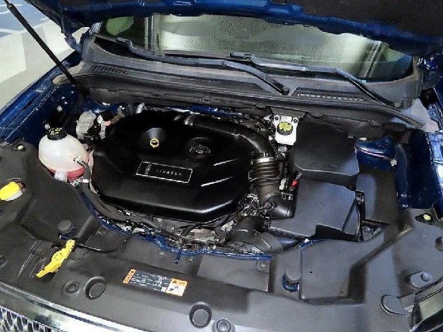 2a84d41292e5c6319970c7615b0b698b.jpeg