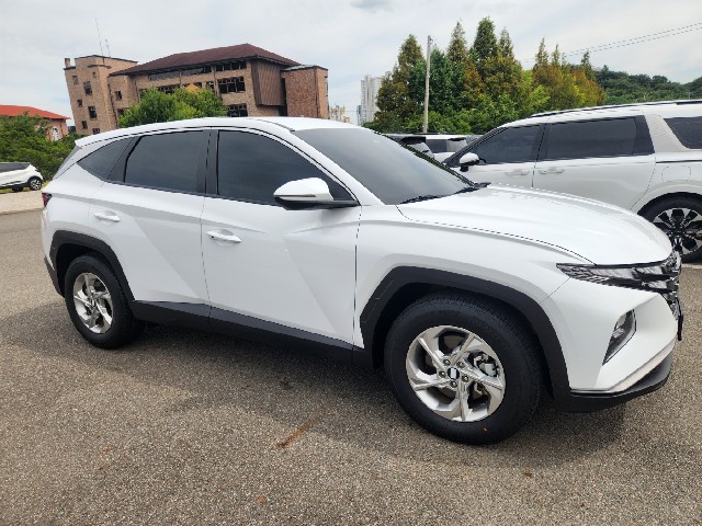 feca0a35f5780250310cf5189d3a699a.jpeg