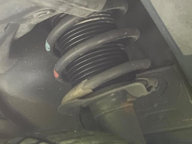 27051988_carP_l_20.jpg
