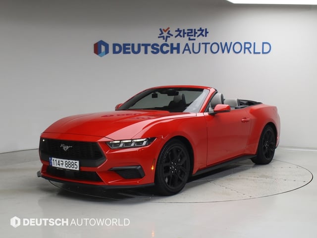 6051000099R1.jpg