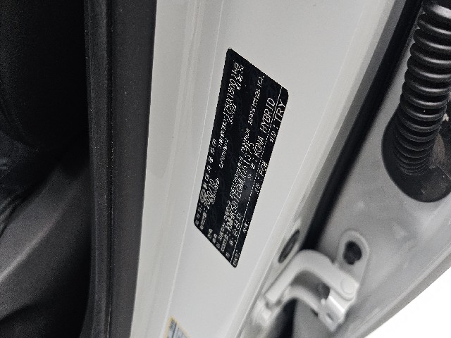 21055a4605465f02151adc586029eb2a.jpeg