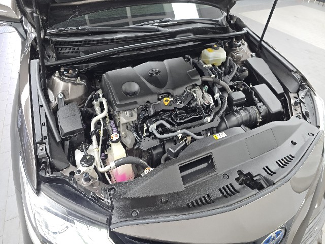 1cc54856d144b5bb34e79d3f009f669a.jpeg