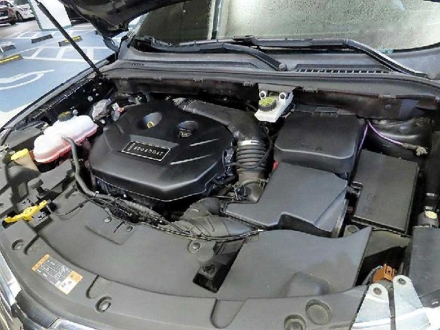 658fef1cd23708908a6ac0e8a393f40c.jpeg