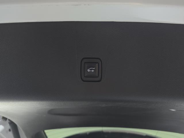 d0c17ccef5541af5b605d53a7eea18ec.jpeg
