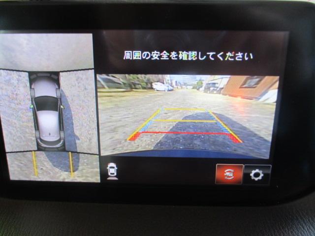 1100824A30260228W00213.jpg