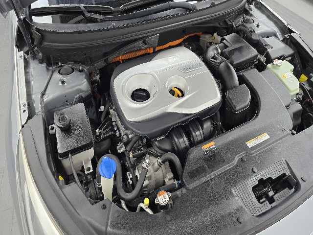 f120576485d8bf8b3d5039c19e6acc64.jpeg