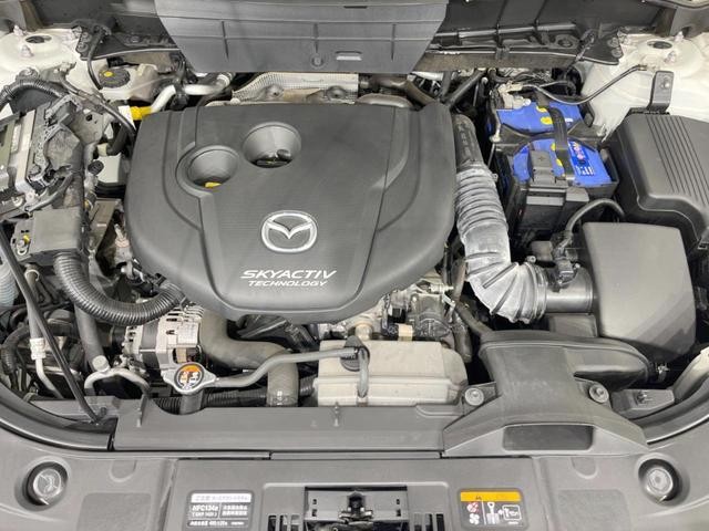 26968109_carP_l_16.jpg