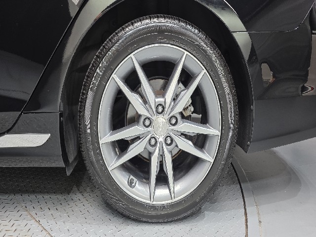 8223b19b04dd5c8bdbc88d353d7c7a78.jpeg