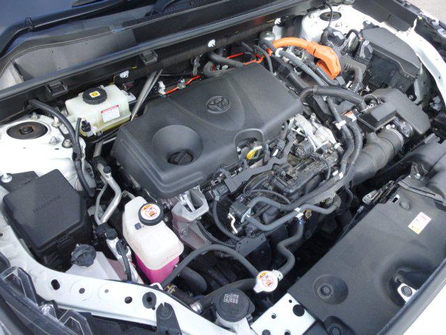 0b90eebba6543f14746d4fc852a50e71.jpg