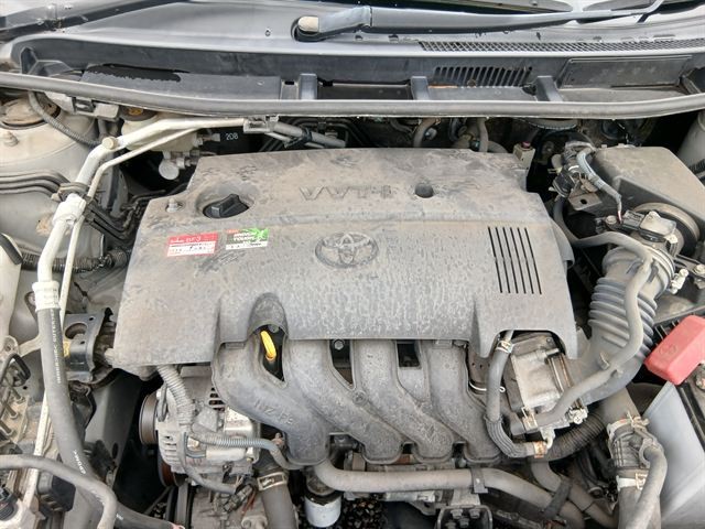 08.jpg