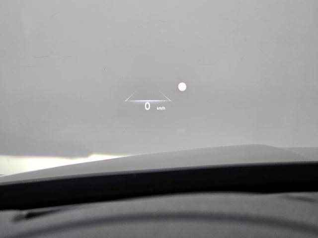 1b78a48fc26d1ca5cc0c43378e5509a1.jpeg