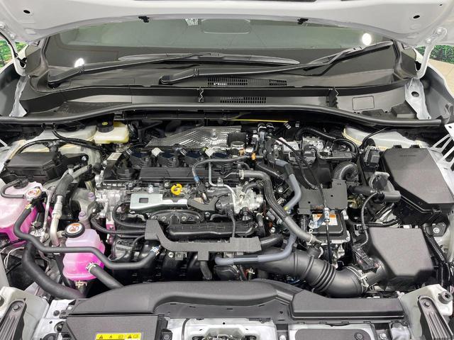 22467976_carP_l_16.jpg