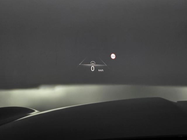d7295077b4e475aea7f4bce15c3d1555.jpeg