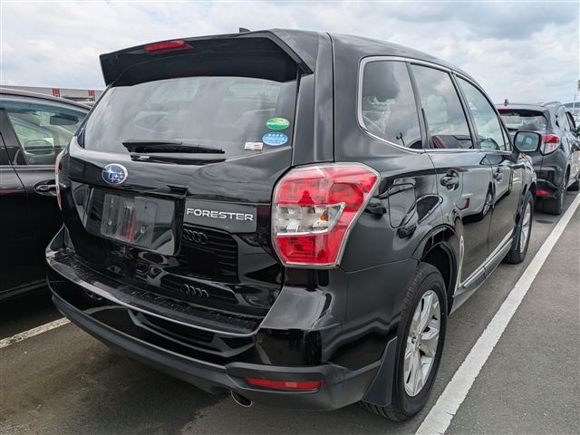 39.jpg