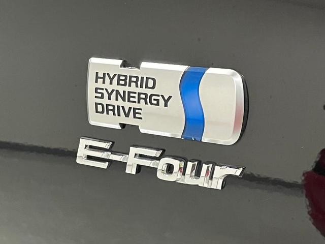 9572589A30240625W00218.jpg