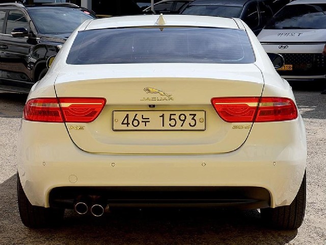 78294ad84c40b09373a86b1aa5efd55e.jpeg