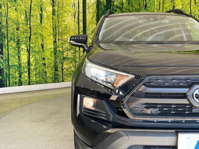 27072019_carP_l_6.jpg