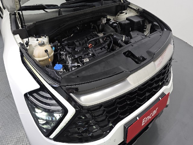 675355e70130790192888ae9055fef50.jpeg