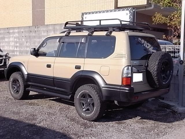 1101603A30240129W00103.jpg