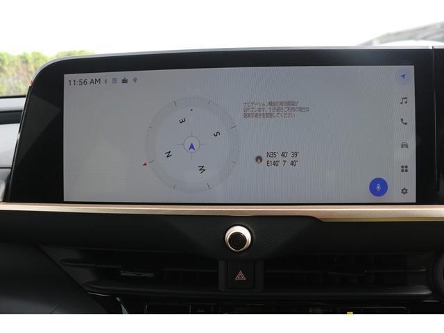 22713063_carP_l_4.jpg